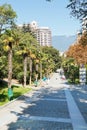 Tourists on Palm alley in Primorskiy Park in Yalta Royalty Free Stock Photo