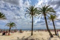 Tourists and palms on Alcudia beach, Mallorca, Spain