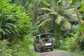 Safari tour in Rarotonga Island highlands Cook Islands