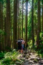 tourists on a path in the woods in Fagaras mountains Royalty Free Stock Photo