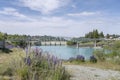 Tourists on pedestrian bridge and lupin flowers at Tekapo river, New Zealand