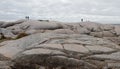 Tourists at Peggy`s Cove Lighthouse