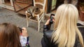 Tourists photographing a cat