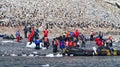 Tourists photographing penguins