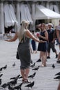 Tourists and pigeons in Venice, Italy Royalty Free Stock Photo