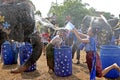 Tourists play water battle with elephants Royalty Free Stock Photo