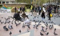 Tourists in Plaza Catalunya in Barcelona feeding the pigeons and taking pictures of them