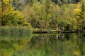 Tourists at Plitvice Lakes National Park in Croatia - a lake with wooden bridges Royalty Free Stock Photo