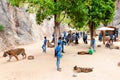 Tourists posing with tigers at the Tiger Temple in Kanchanaburi, Thailand