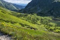 Tourists in Rackova valley, Western Tatras mountains, Slovakia