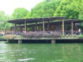 Tourists resting in a big pavilion near a lake