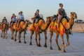 Tourists ride camels along Cable Beach in Western Australia. Royalty Free Stock Photo