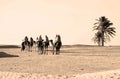 Tourists ride on camels guided by local people on horses,