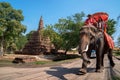 Tourists on an ride elephant tour of the ancient city, Ayutthaya, Thailand, 16/01/2020. Royalty Free Stock Photo