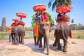 Tourists ride elephants in Ayutthaya province of Thailand