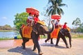 Tourists ride elephants in Ayutthaya province of Thailand