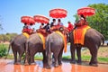 Tourists ride elephants in Ayutthaya province of Thailand