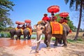 Tourists ride elephants in Ayutthaya province of Thailand