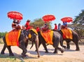 Tourists ride elephants in Ayutthaya province of Thailand