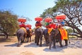 Tourists ride elephants in Ayutthaya province of Thailand