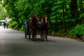 Tourists ride a horse-drawn carriage in Sofiyivka park in Uman, Ukraine Royalty Free Stock Photo