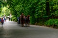Tourists ride a horse-drawn carriage in Sofiyivka park in Uman, Ukraine Royalty Free Stock Photo