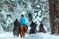 Tourists ride horses in winter forest back view Royalty Free Stock Photo