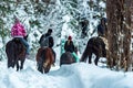 Tourists ride horses in winter forest back view Royalty Free Stock Photo