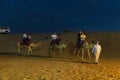 Tourists riding camels at Bedouin camp in desert Dubai  UAE Royalty Free Stock Photo