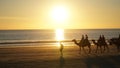 Tourists riding Camels on Cable Beach during sunset in the city of Broome, Western Australia.