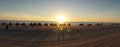 Tourists riding Camels on Cable Beach during sunset in the city of Broome, Western Australia. Royalty Free Stock Photo