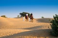 Tourists riding camels, Camelus dromedarius, sand dunes of Thar desert. Camel riding is a favourite activity amongst all