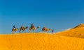 Tourists riding camels at Erg Chebbi near Merzouga in Morocco Royalty Free Stock Photo