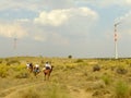 Tourists riding camels near wind turbines in Thar desert during