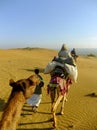 Tourists riding camels in Thar desert during camel safari in Raj