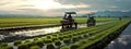 Tourists riding in cars on rice plantation in mountains in early morning. Excursions, tours in Asian countries.