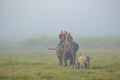 Tourists riding on elephant back during jungle safari Royalty Free Stock Photo