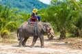 Tourists riding elephant in Thailand