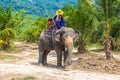 Tourists riding elephant in Thailand