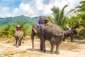 Tourists riding elephant in Thailand