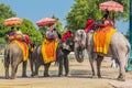 Tourists riding elephants Ayutthaya bangkok thailand