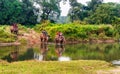 Tourists riding on Elephants, Chitwan National Park, Nepal Royalty Free Stock Photo