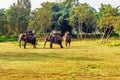 Tourists riding on Elephants, Chitwan National Park, Nepal Royalty Free Stock Photo