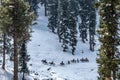 Tourists are riding horses to Baisaran Valley, Pahalgam, Kashmir, India Royalty Free Stock Photo