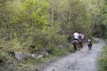 Tourists riding horses