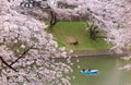 Tourists rowing boats on a lake under beautiful cherry blossom trees in Chidorigafuchi Urban Park during Sakura Festival in Tokyo