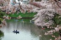 Tourists rowing boats merrily on a canal beneath beautiful sakura trees in Chidorigafuchi Park