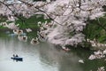 Tourists rowing boats merrily on a canal under beautiful sakura trees in Chidorigafuchi Park, Tokyo blurred background