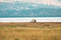 Tourists on a safari vehicle on a dirt road in Lake Nakuru National Park in Kenya Royalty Free Stock Photo