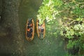 Tourists sail on a rubber boat along the canyon, Georgia, top view